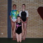 VenV_gymnastiek_20130629_01